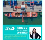 Chiny logistyczne usługi spedycji morskiej tanie stawki do usług DDU DDP Malezji