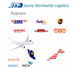 Usługa dostawy Ekspresowa wysyłka Oceń Chiny do Malezji
