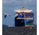 专业海运整柜散货运输从深圳到亚特兰大