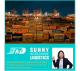 Sea Freight Container Ocean Freight do Felixstowe UK z wylotu Shanghai Ningbo China