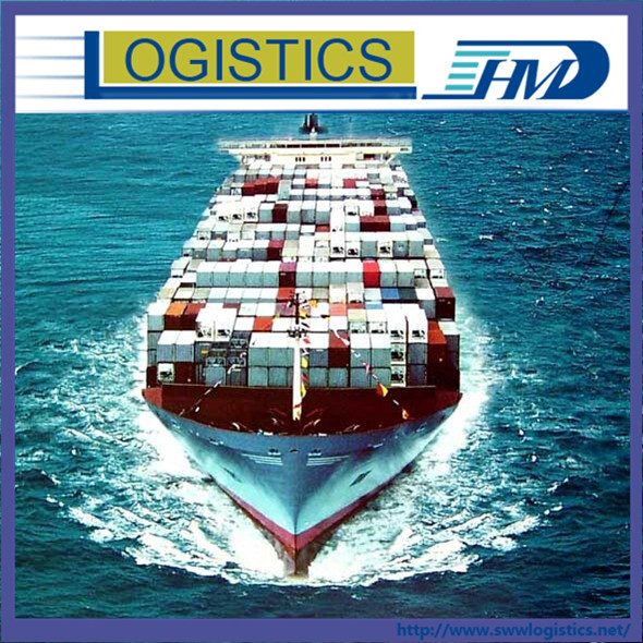 Ningbo to Seattle  Professional Sea Freight Forwarding FCL Services