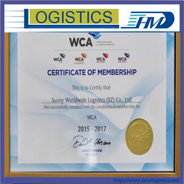 FCL Cargo sea freight service from Qingdao to Australia