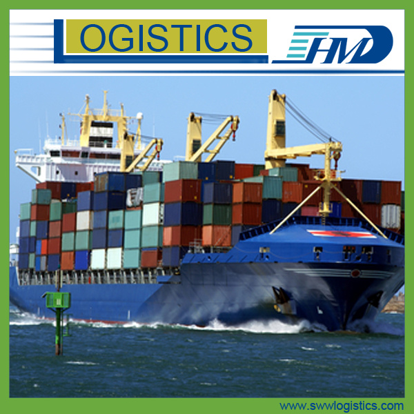 Ningbo to Genoa LCL Cargo by Sea Shipping 