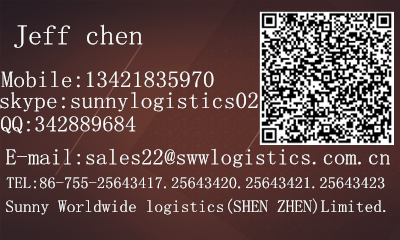 Reliable container shipping service agent from China to Austria