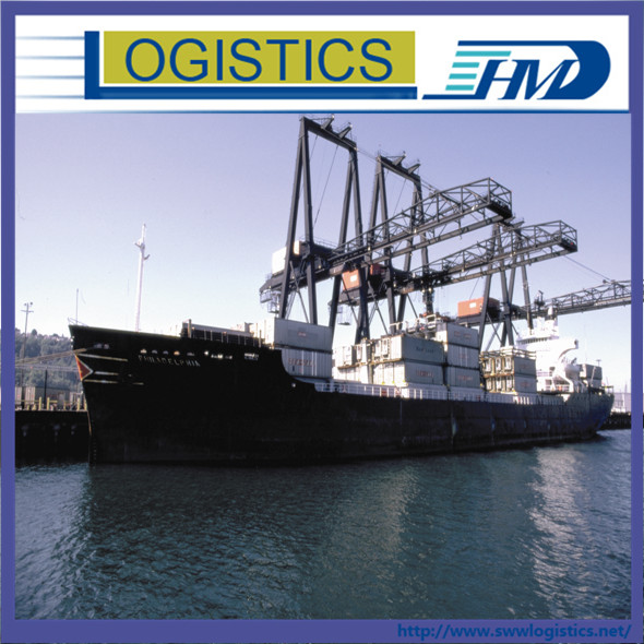 Freight forwarding  professional sea shipping services in China Shanghai to Constantza