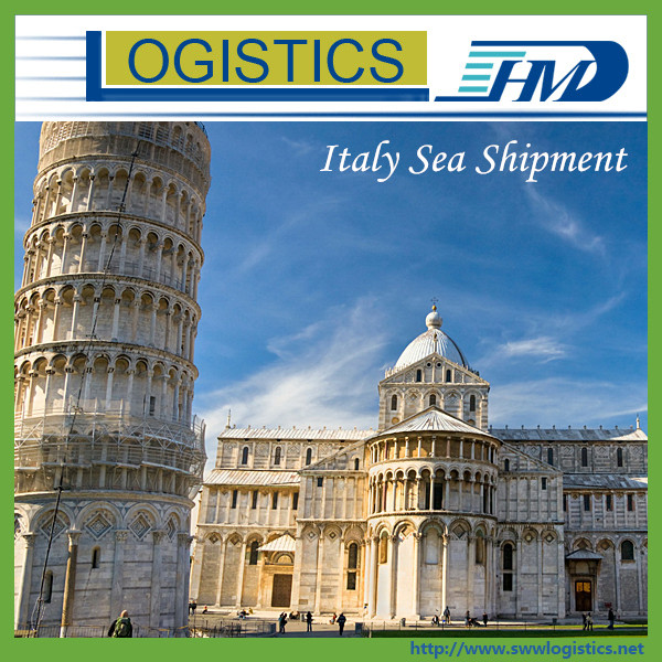Sea bulk cargo from Shenzhen to Italy DDP/DDU