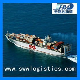 LCL sea cargo door to door service from Shenzhen to Singapore