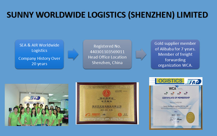 Sea Freight Forwarder China to Toronto Canada 