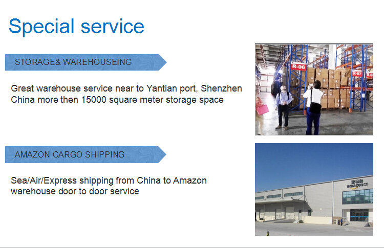 China Sea Freight to Bremerhaven Germany Amazon FBA