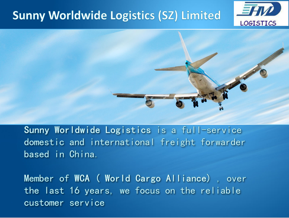 Air freight door to door delivery service from Shenzhen to Malaysia  