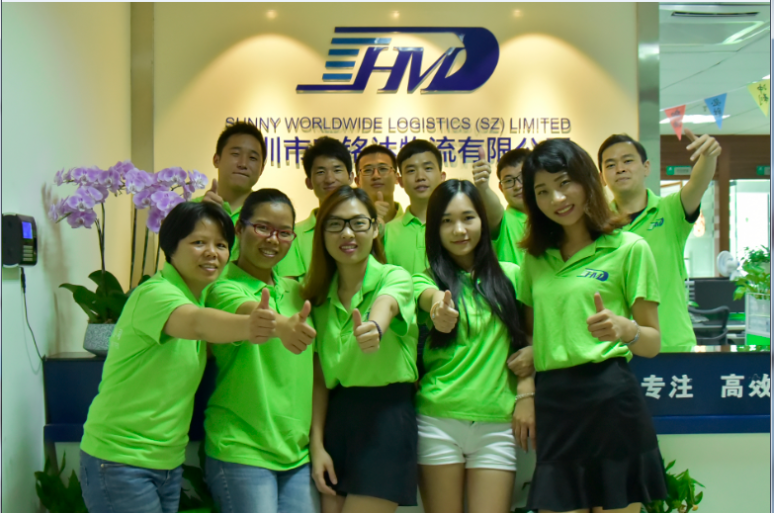 Sea freight door to door service from Shenzhen to Hamburg