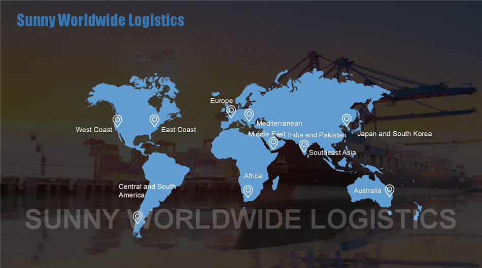 Freight Forwarder China Shipping to Belgium Cargo Shipping