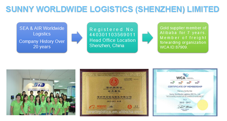 Profession sea freight FCL and LCL shipping from Shenzhen to Atlanta