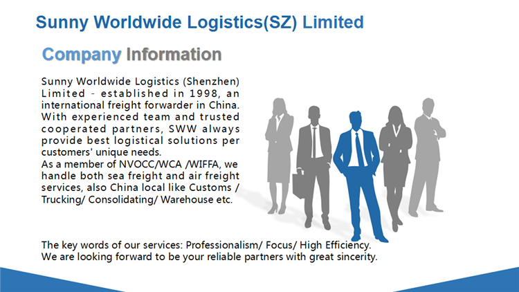 Freight Forwarder China to Canada China Products Air Cargo Service