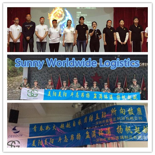 Sunny worlwide logistics Development Training and Hundred Regiments Battle is going to start
