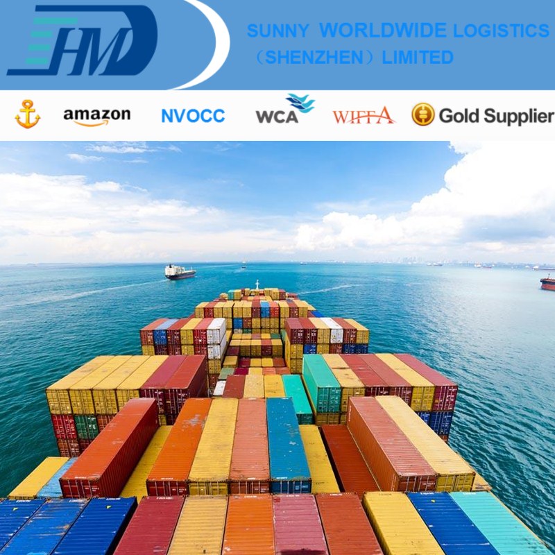 Shenzhen freight forwarder sea freight door to door shipping to Canada