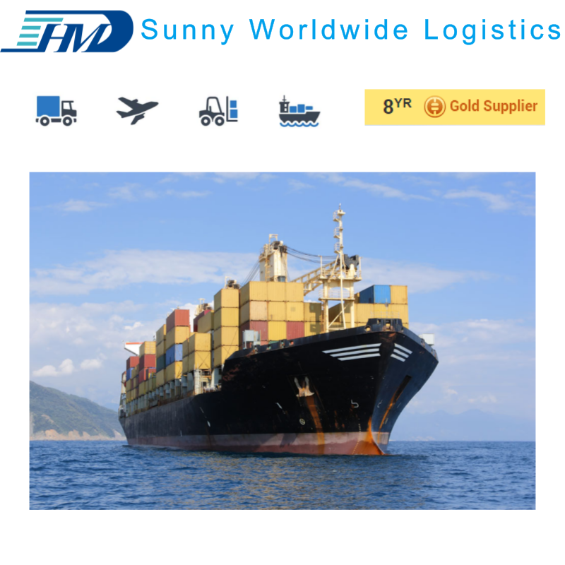 ddu/ddp China to USA/UK sea freight shipping forwarder