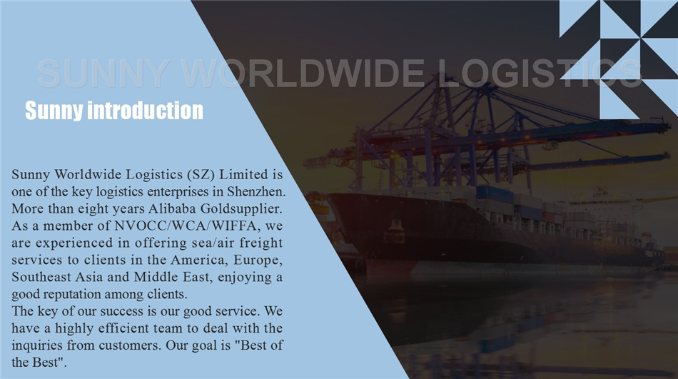 Freight Forwarder China to Argentina China Supplier Cargo Ship