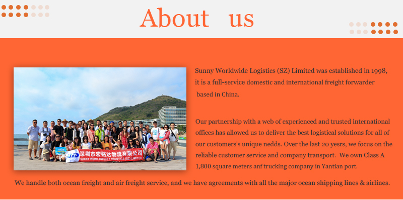 Professional sea freight from China to USA