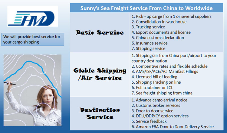 Ocean Shipping from China to Dublin Ireland FCL Shipping