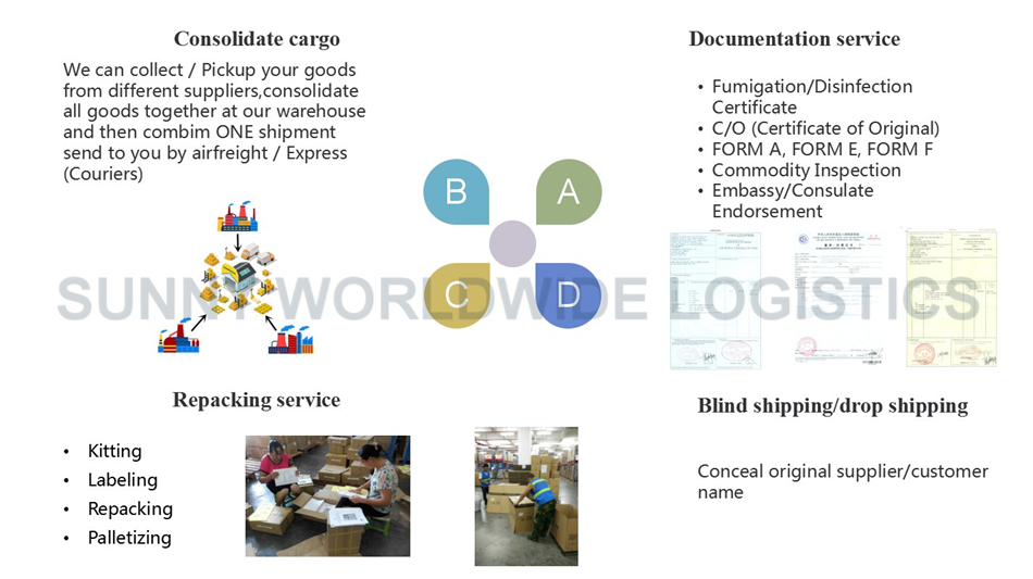 Container Shipping Sea Freight Forwarder from China to Mexico