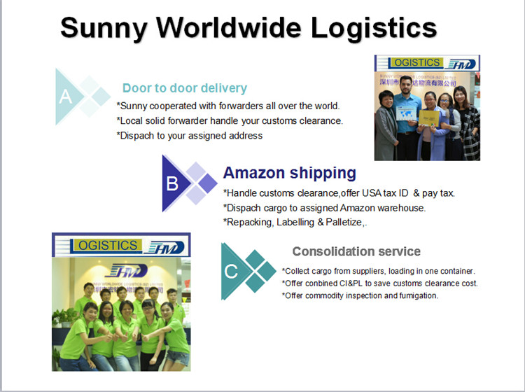 Door delivery service from Shenzhen to Paris France sea freight shipping