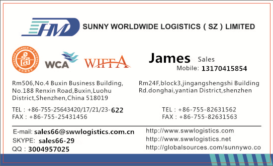 China professional freight forwarder service