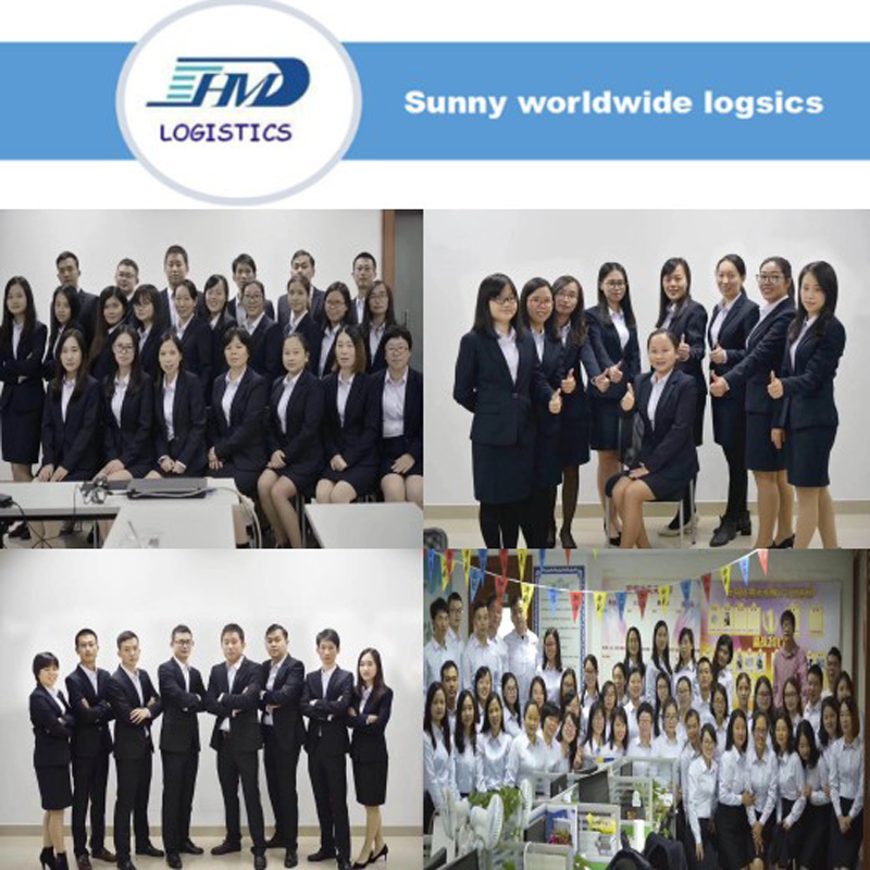 Consolidation warehouse service sea shipping from Shenzhen to Germany