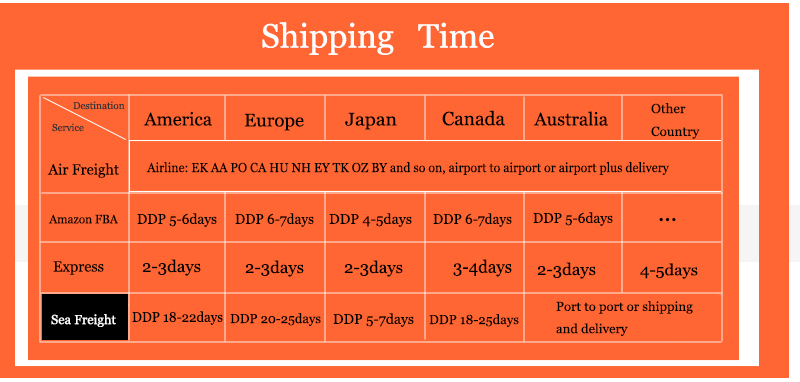 Professional sea freight from China to USA