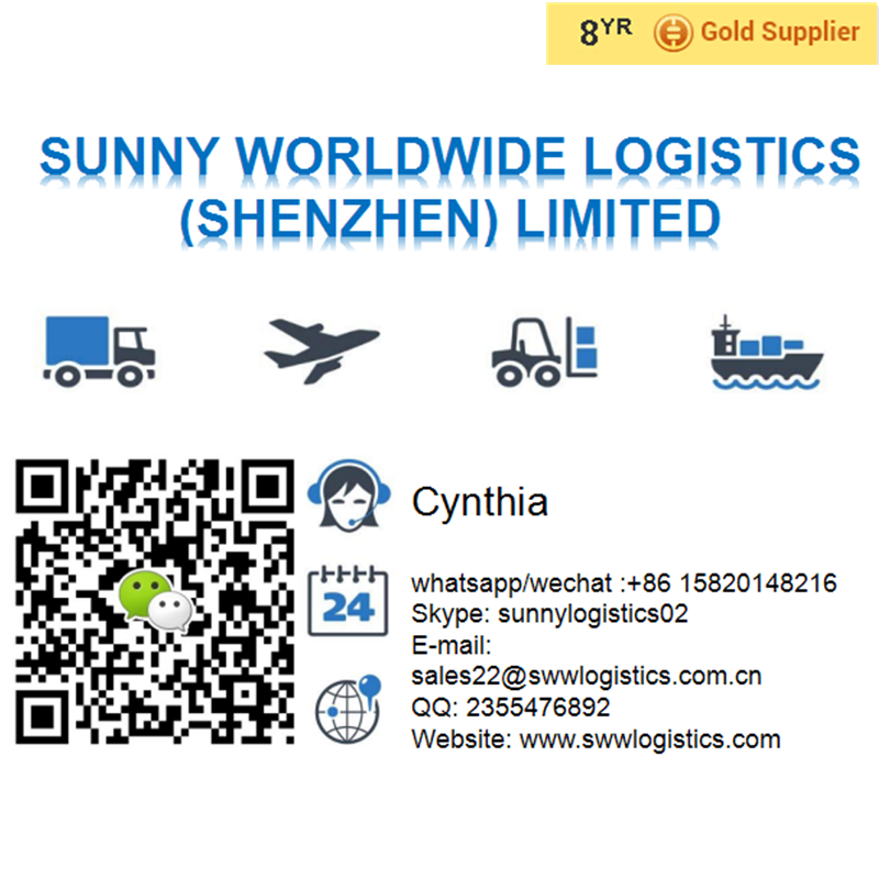 Shipping logistics company sea freight from shenzhen to France