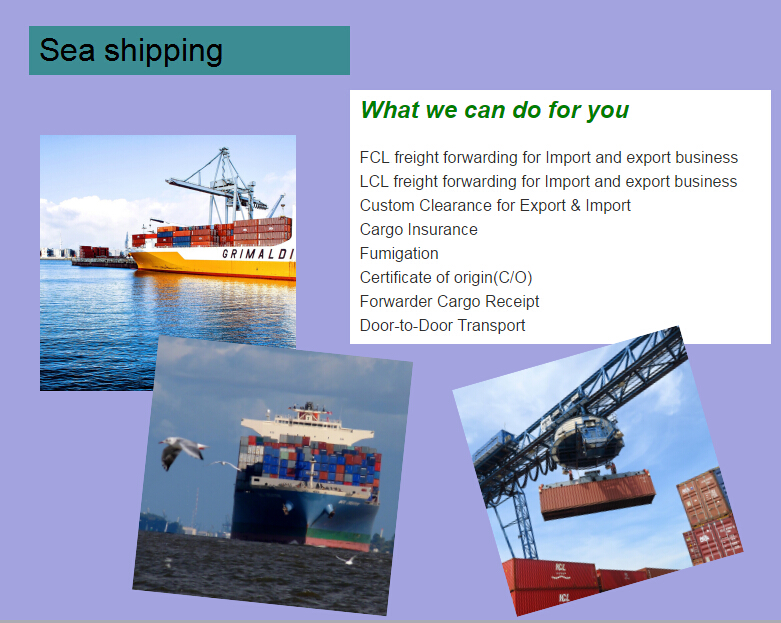 China door to door sea shipping to Singapore logistics services