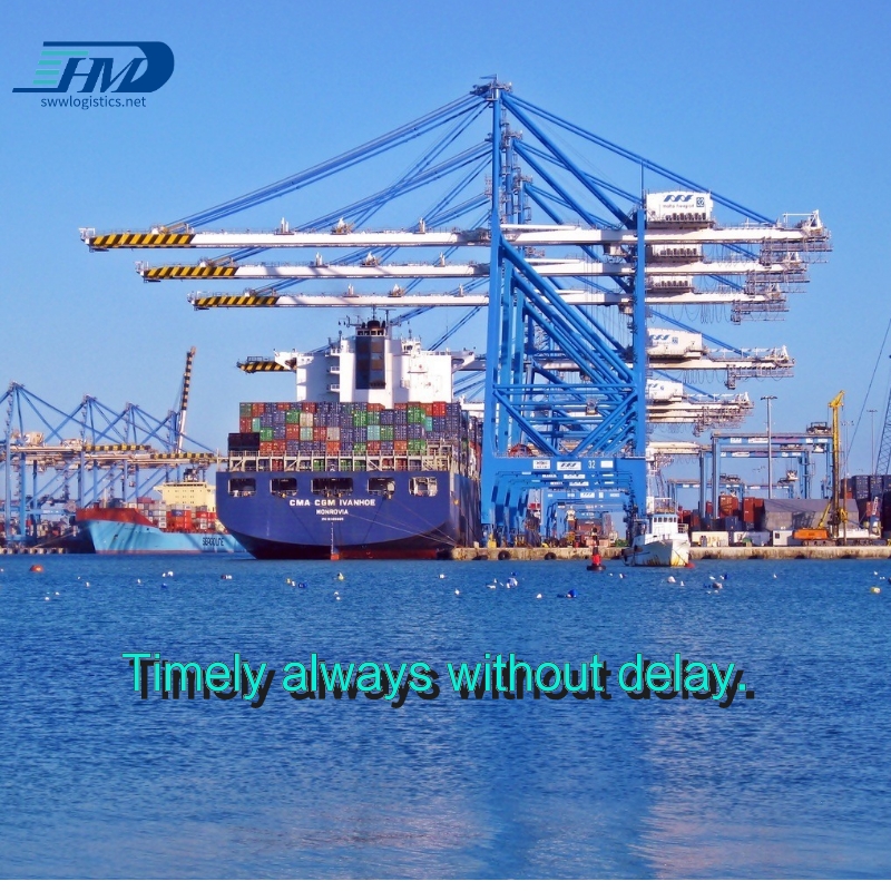 Sea freight service shipping from china to  Netherlands freight forwarder drawing toys