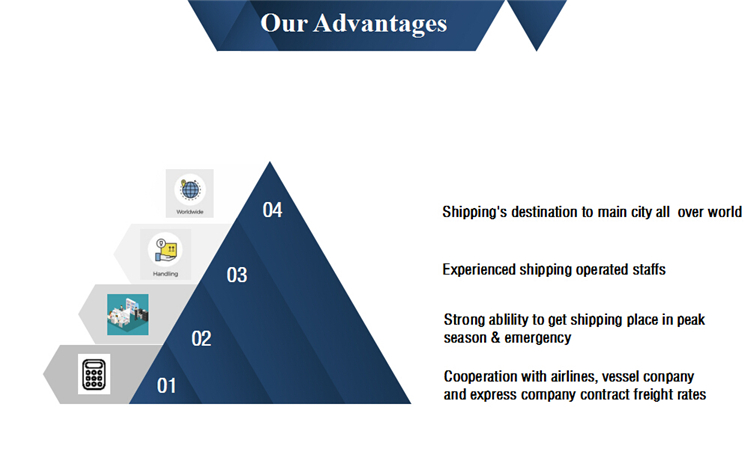 Sea Freight China to New Zealand Ocean Freight Forwarder