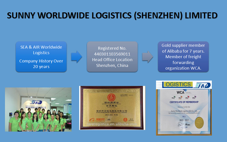 Sea freight Shipping Service Shenzhen to Ashdod FCL/LCL 