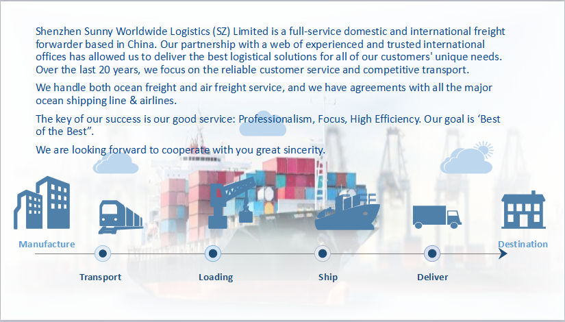 Shenzhen cost container sea freight from shenzhen guangzhou to dubai