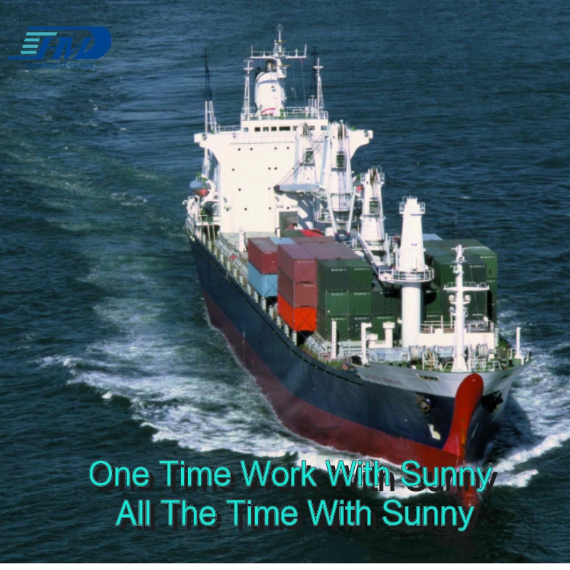 Sea shipping professional freight forwarder to Germany Hamburg door to door service 