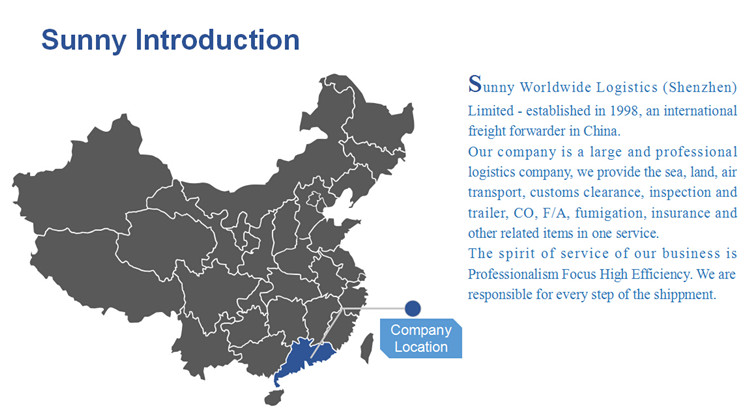 Best Shipping Agent Sea Freight China to Saudi Arabia