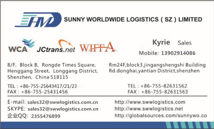 professional Customs Freight Clearing and Forwarding Agent from China to USA the sea freight service 