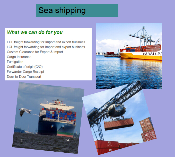 Shipping agents door to door from Shenzhen to Lisbon Portugal DDU/DDP sea freight