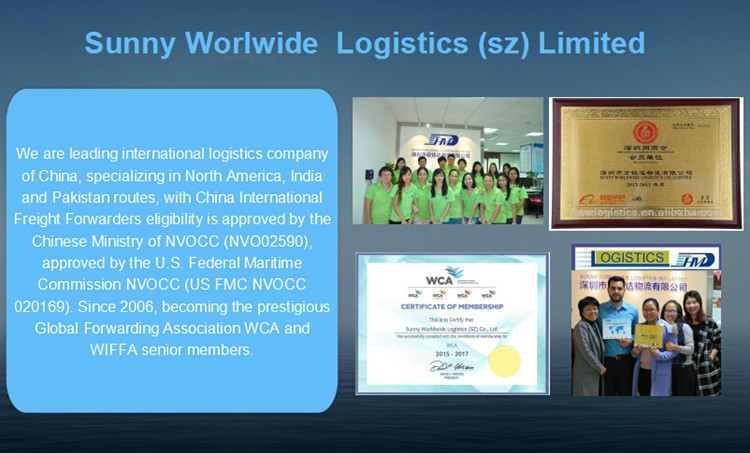 Sea freight Logistics China to Lattakia Syria FOB LCL Container