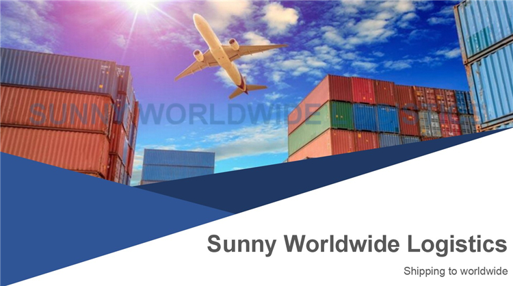 DDP DDU Professional sea freight from China to USA Chicago door to door services