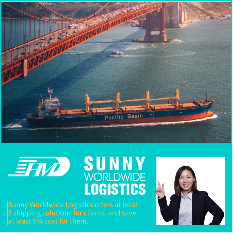 Servicios de envío de carga marítima logística de China tarifa barata a servicios DDDP de Malasia DDU