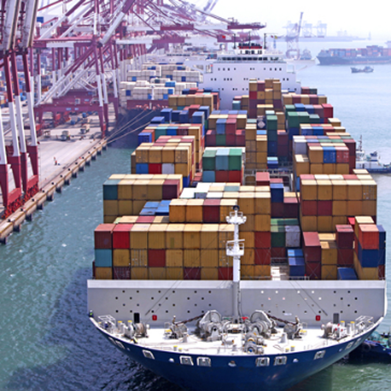 LCL Sea freight rates from Ningbo China to Caucedo Dominica