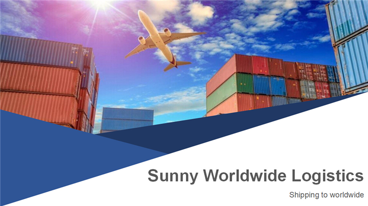 Shipping Service from Shenzhen to Singapore Sea Freight/ Air Freight/ Express