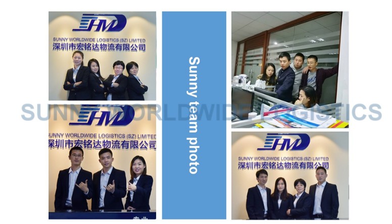 海运服务从中国到美国门到门运输代理
