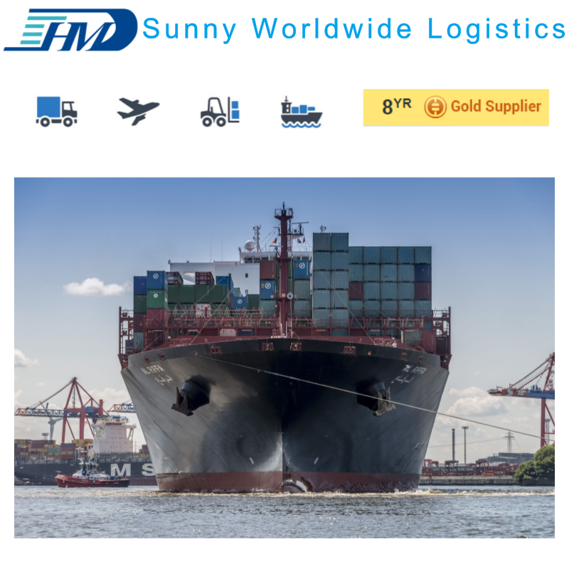 Consolidation sea shipping rate from Shenzhen to Basel Switzerland DDU DDP