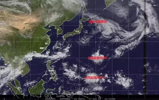 专业货代