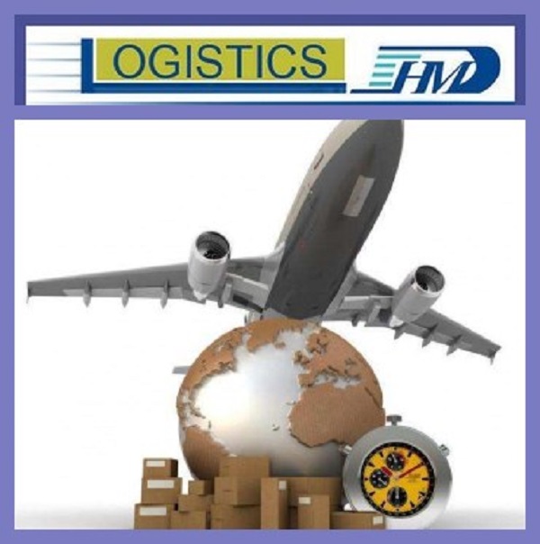 Professional sea freight services from China to Dubai