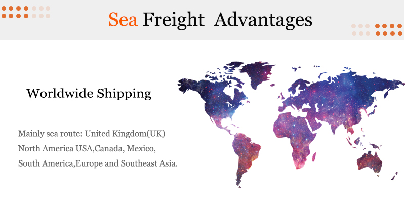 Professional sea freight from China to USA