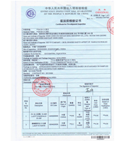 Zhejiang Freight Forwarder Bulk Clearance from China to Poland